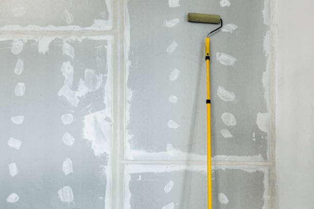 Best Water-Damaged Drywall Repair  in Lufkin, TX